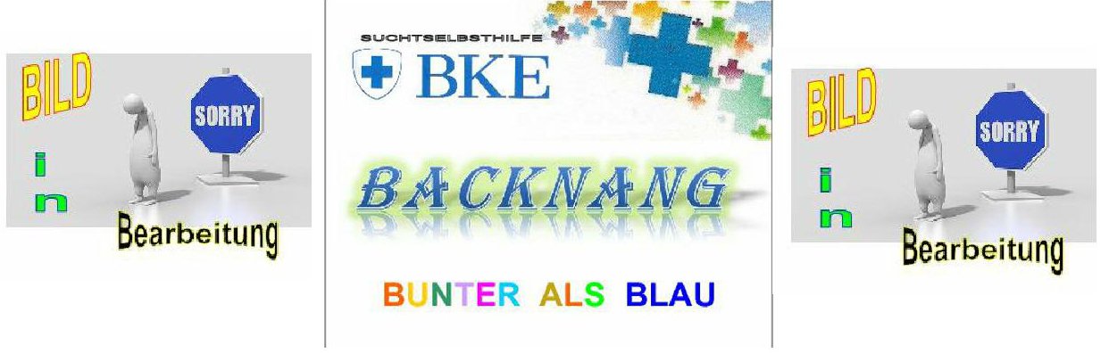 Bild Webseite BK 1 1