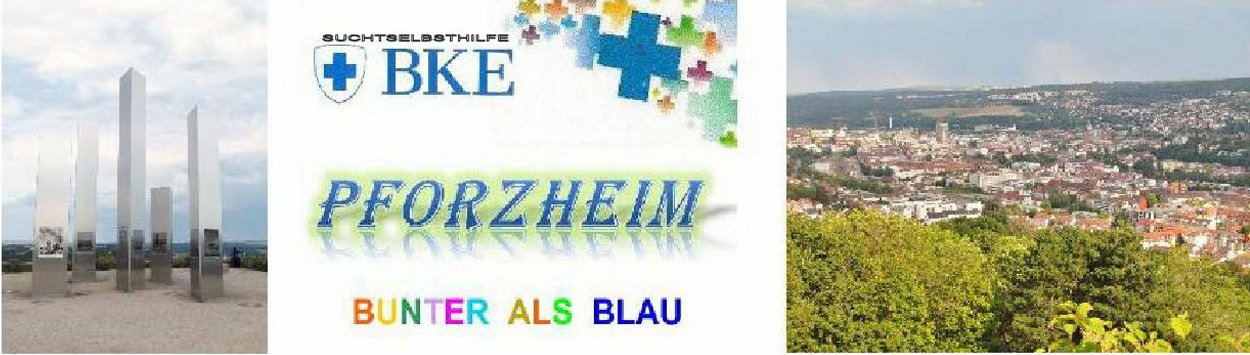 Bild Webseite PF 1 1