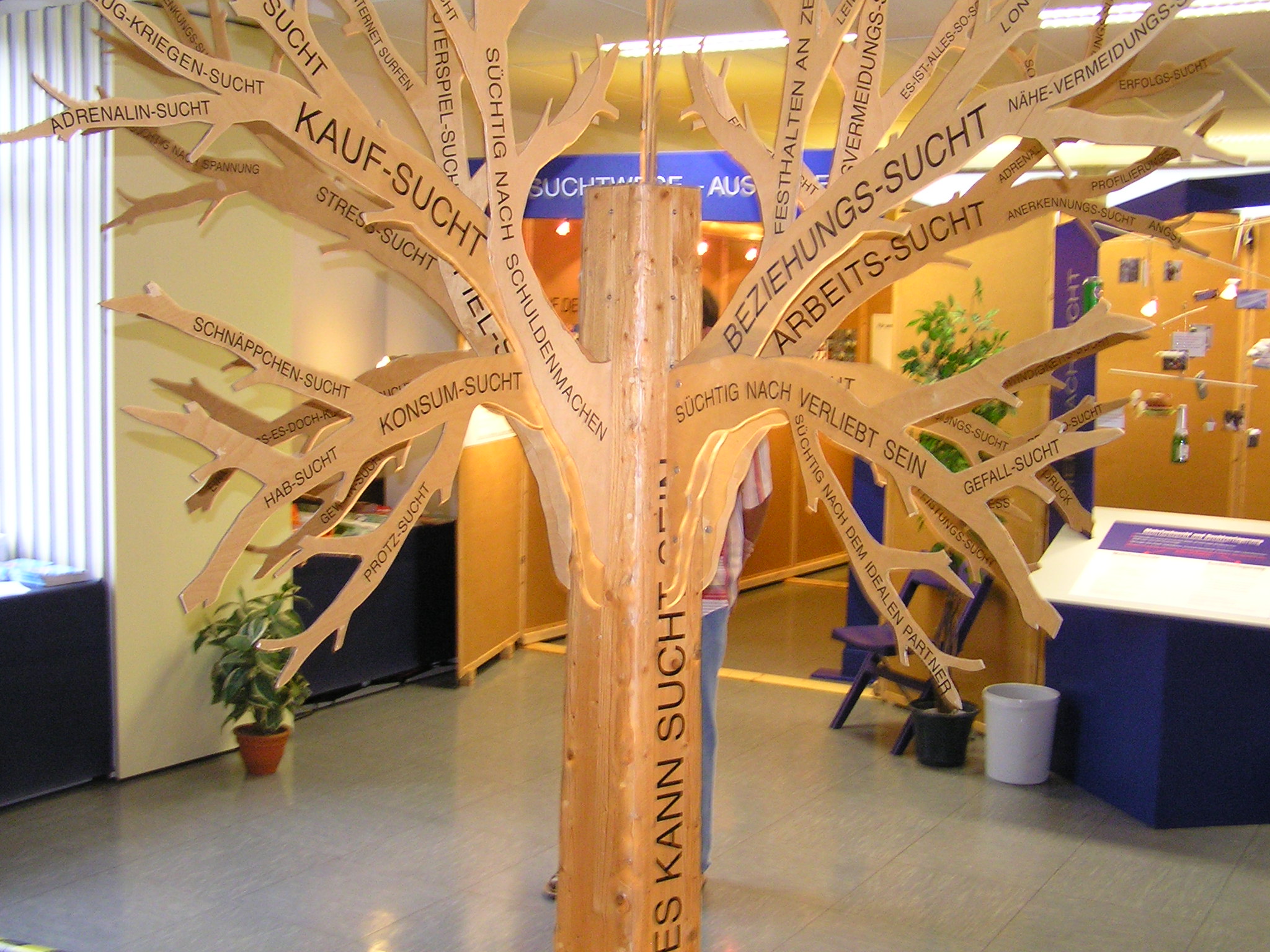 Wiehl Suchtbaum neu P9230004